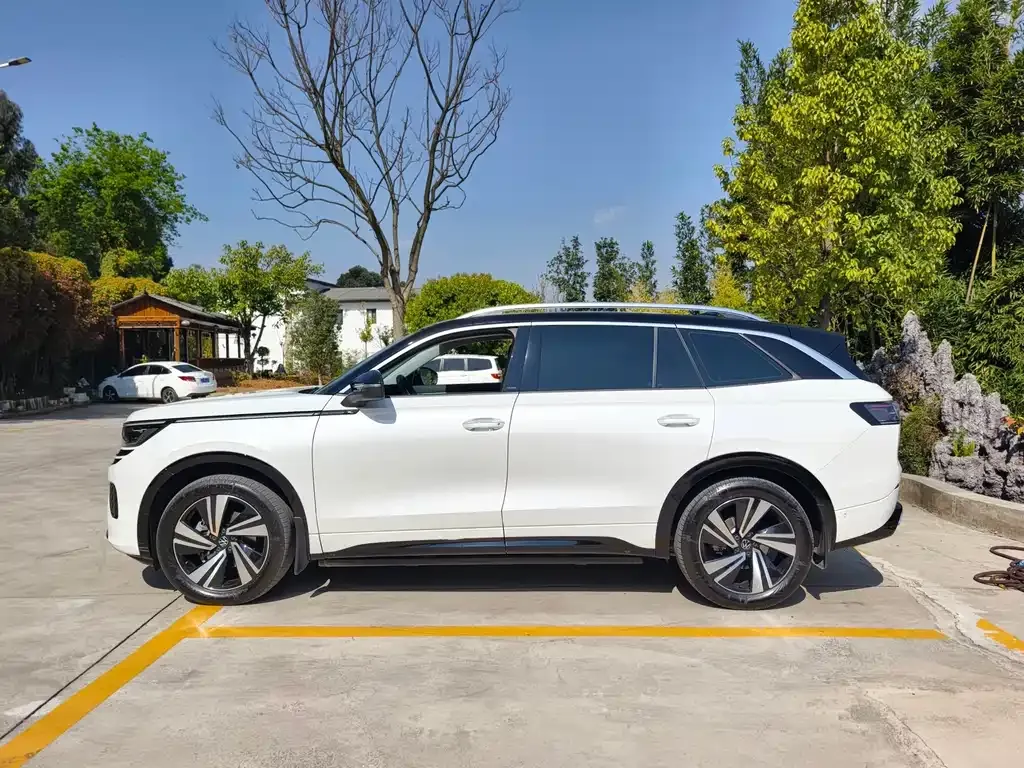 Volkswagen Tavendor — фото 5