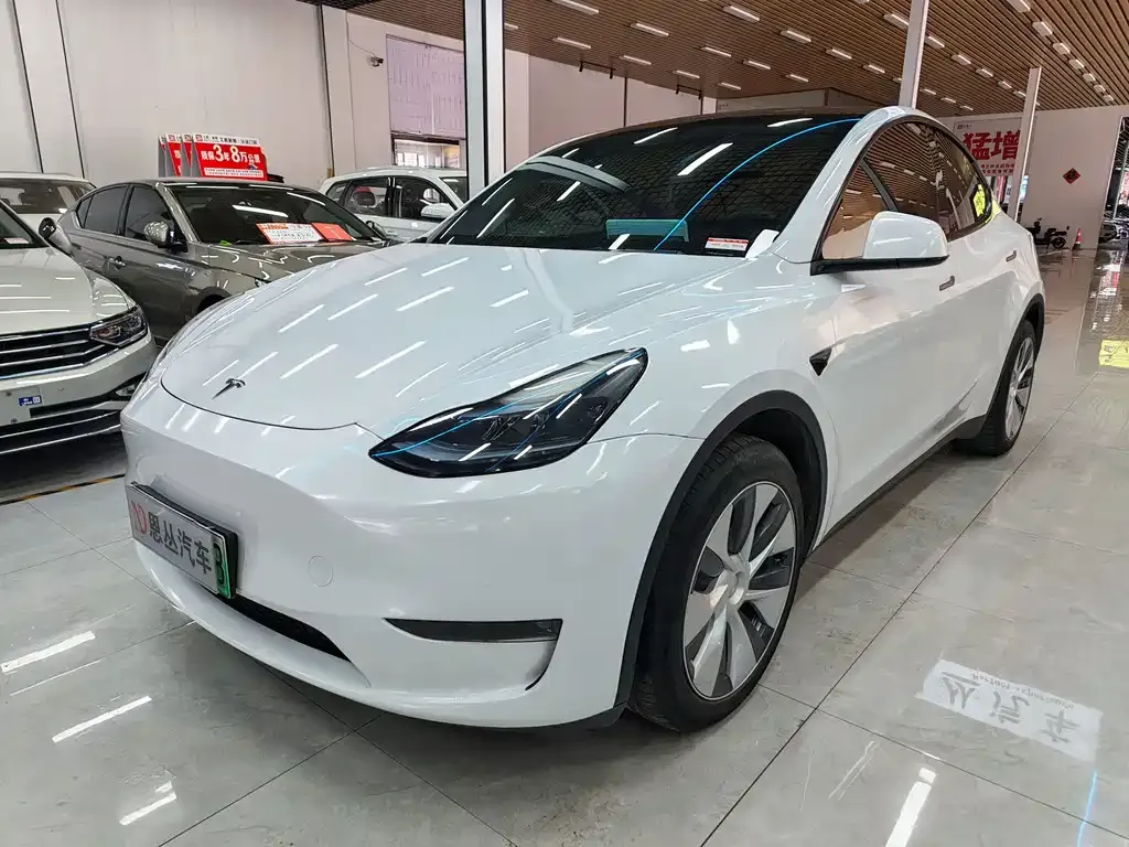 Tesla Model Y — фото 1