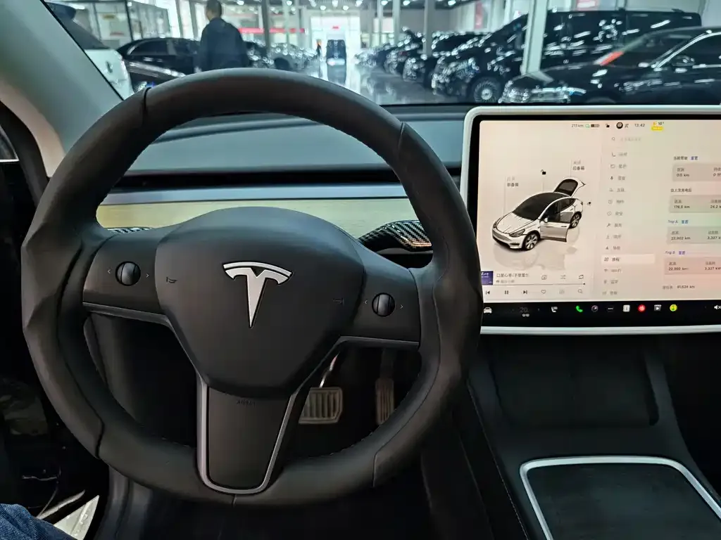 Tesla Model Y — фото 10