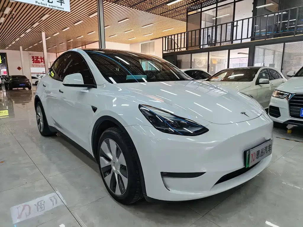 Tesla Model Y — фото 5