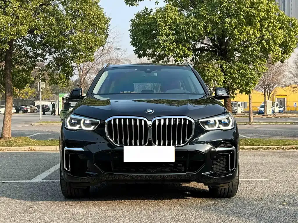 BMW X5 — фото 10