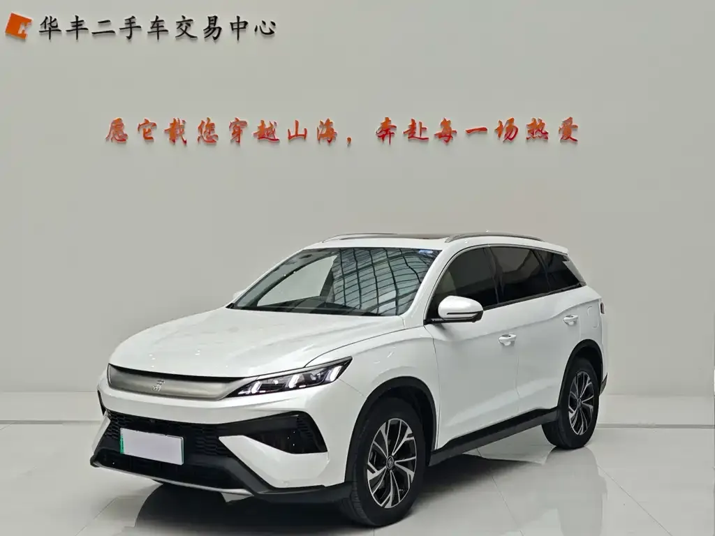 BYD Pro New Energy