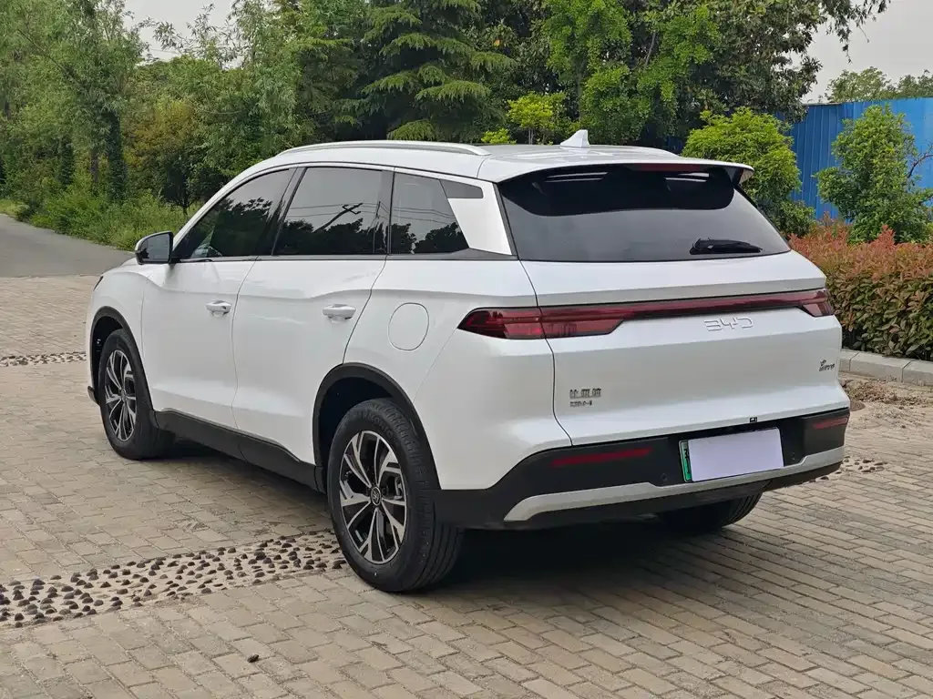 BYD Pro New Energy 2025 из CN, фото 6