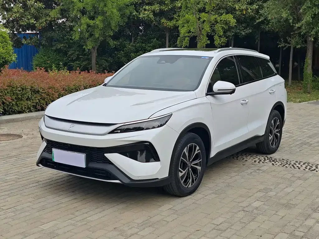 BYD Pro New Energy 2025 из CN, фото 9