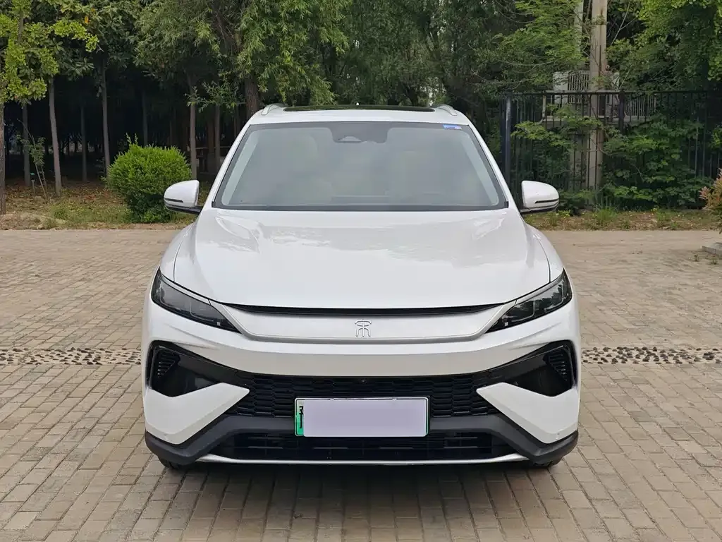 BYD Pro New Energy 2025 из CN, фото 4