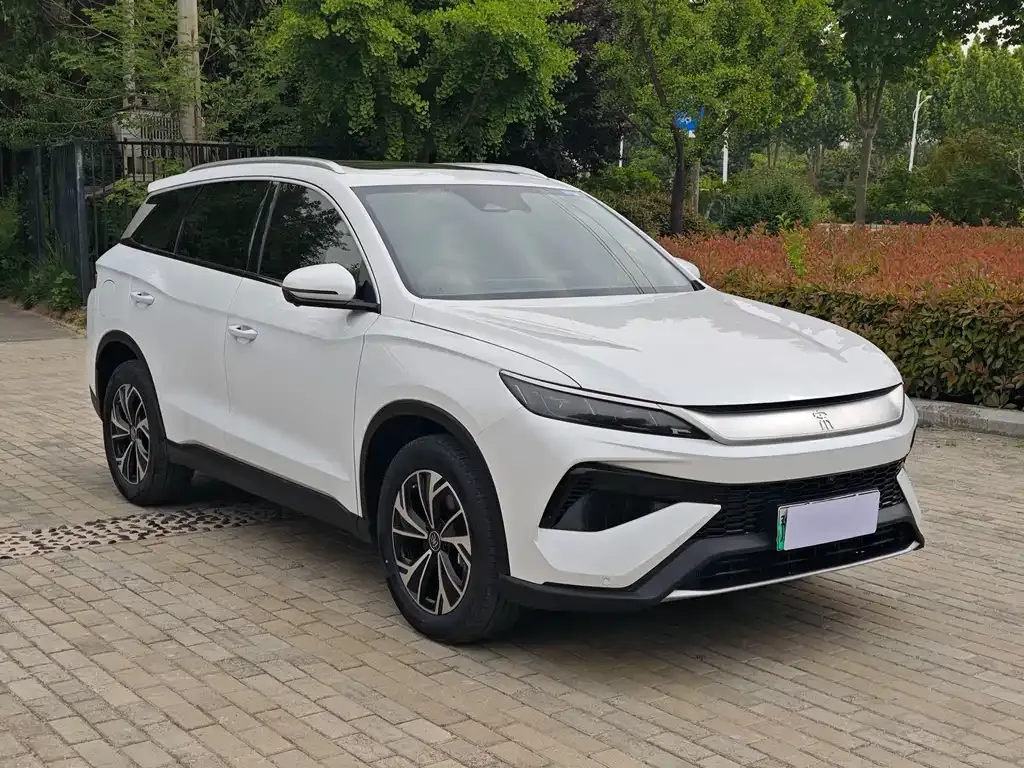 BYD Pro New Energy 2025 из CN, фото 8