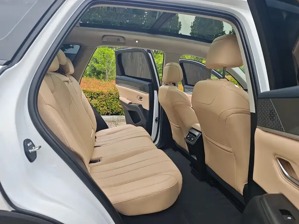 BYD Pro New Energy 2025 из CN, фото 3