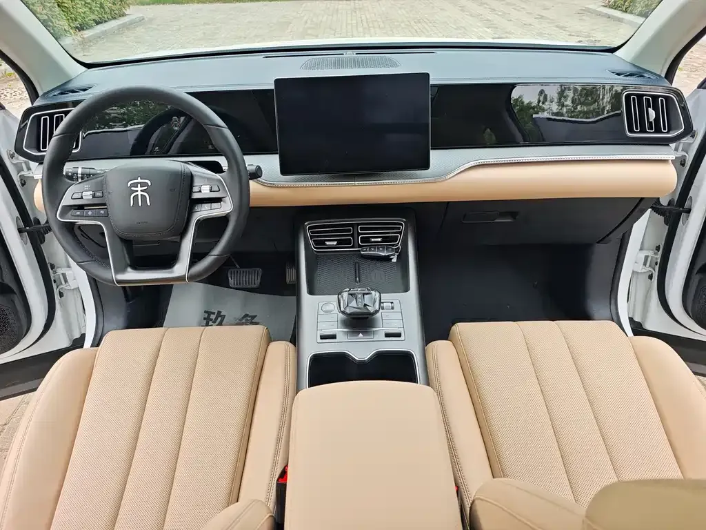 BYD Pro New Energy 2025 из CN, фото 7