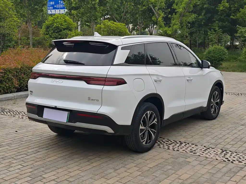 BYD Pro New Energy 2025 из CN, фото 10