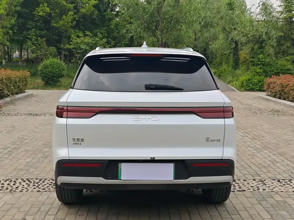 BYD Pro New Energy 2025 из CN, фото 2