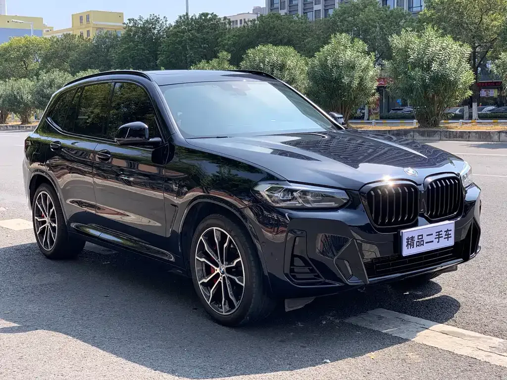 BMW X3 — фото 9