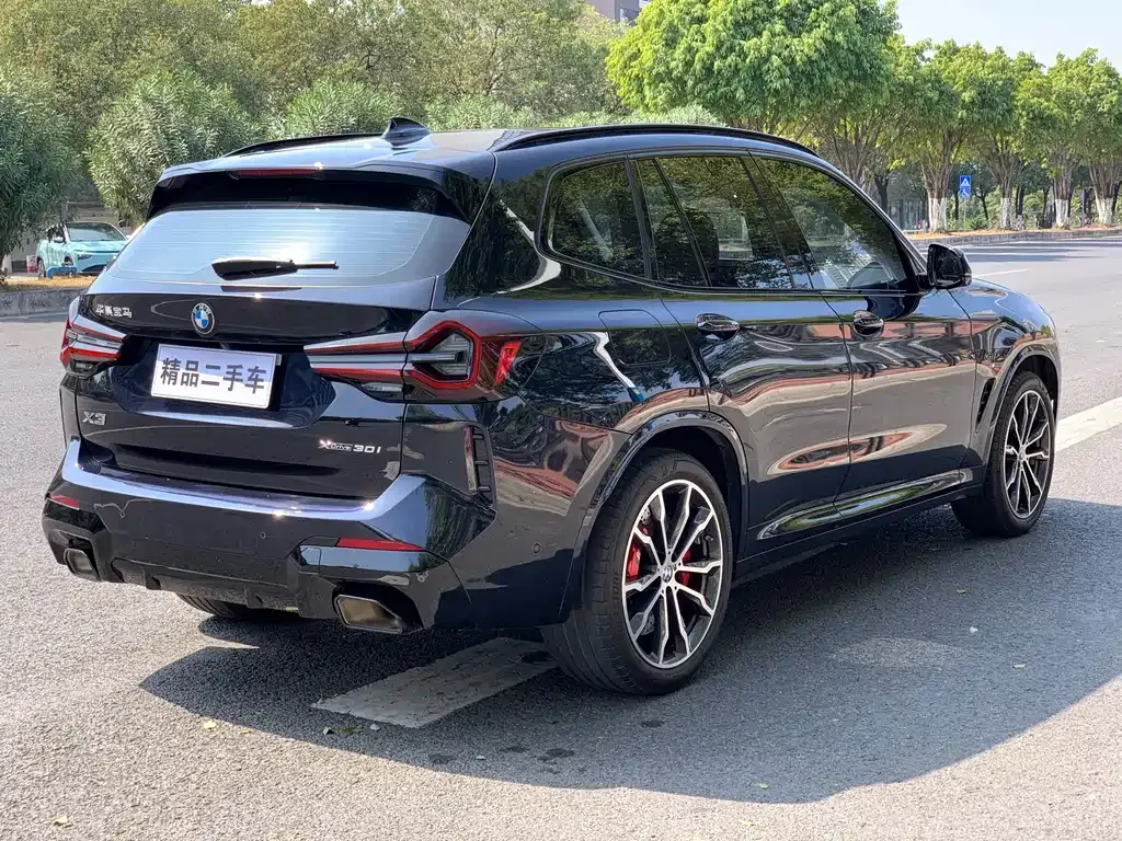 BMW X3 — фото 10