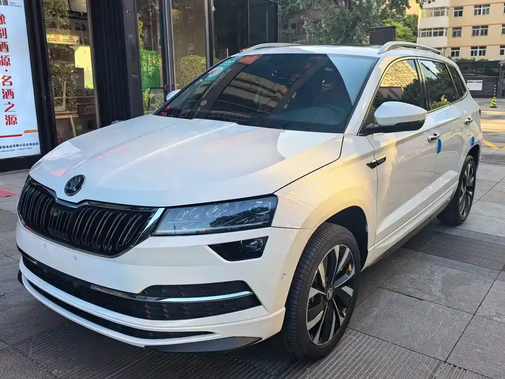 Skoda Karoq — фото 1