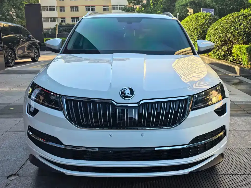 Skoda Karoq — фото 3