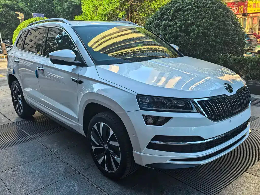Skoda Karoq — фото 9