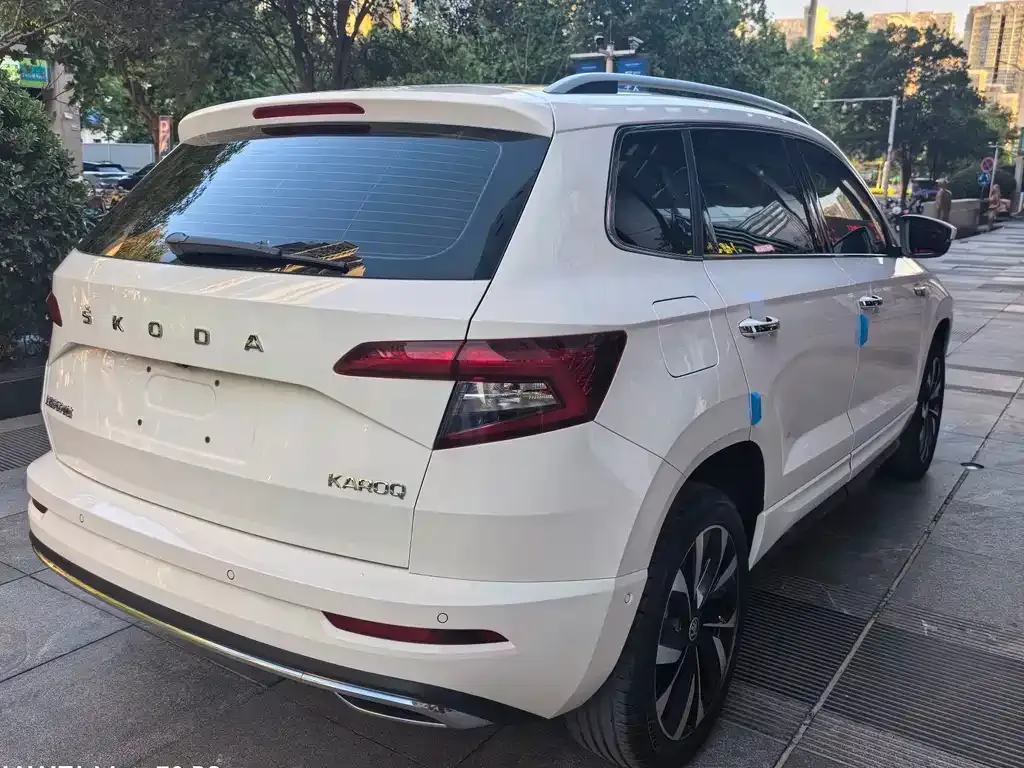 Skoda Karoq — фото 7