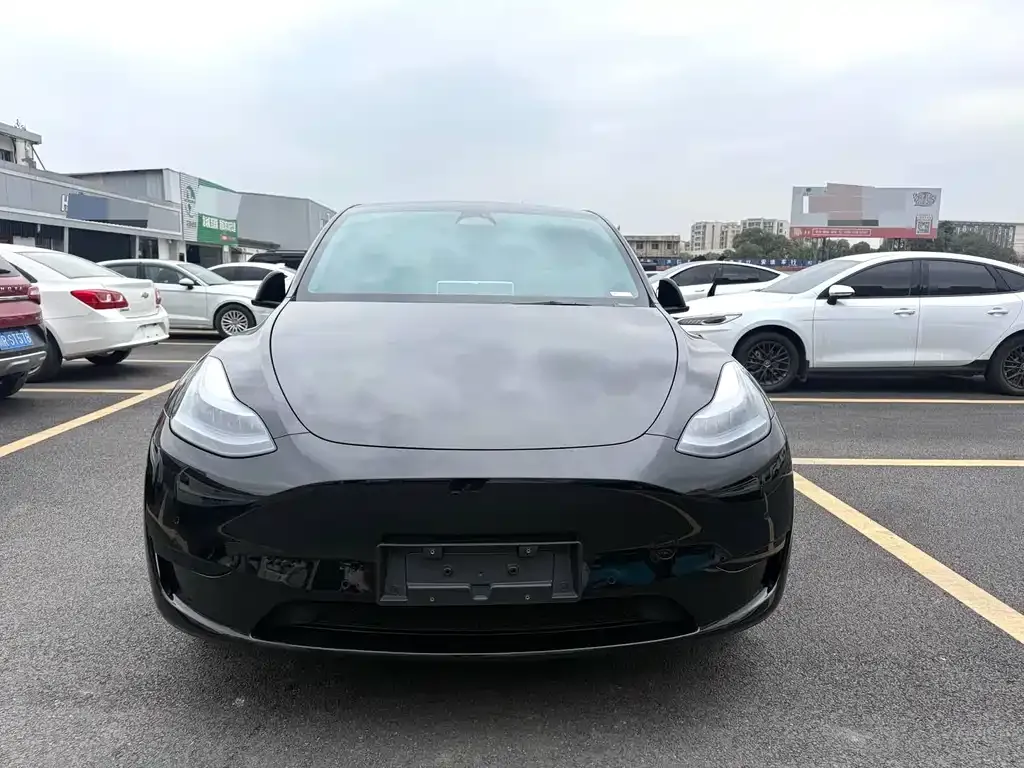 Tesla Model Y — фото 7