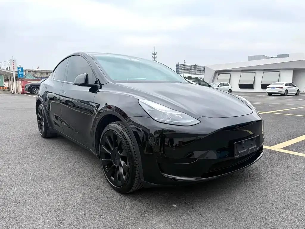 Tesla Model Y — фото 6