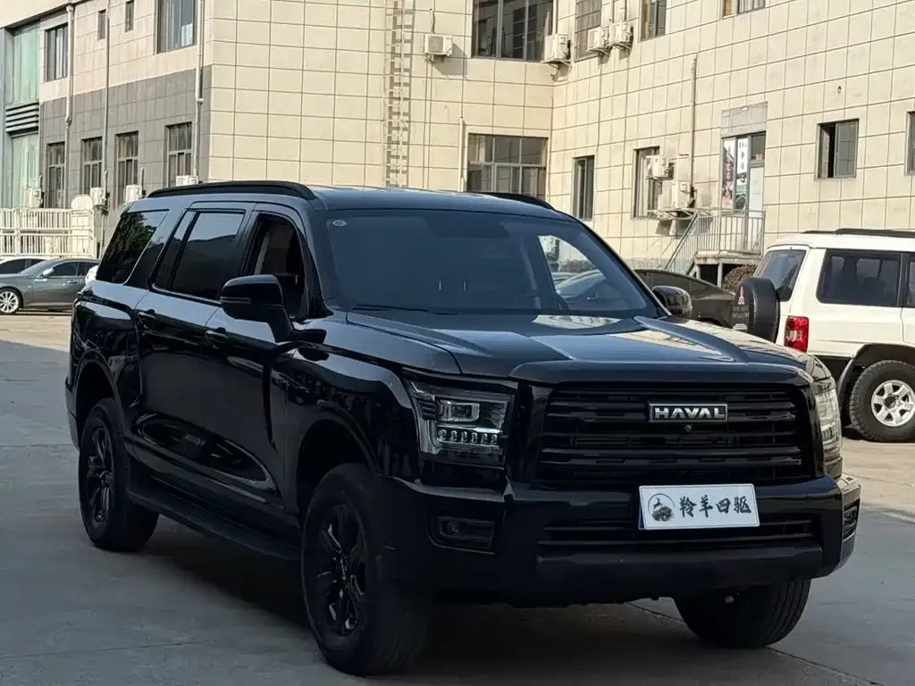 Haval H5 2025 из CN, фото 3