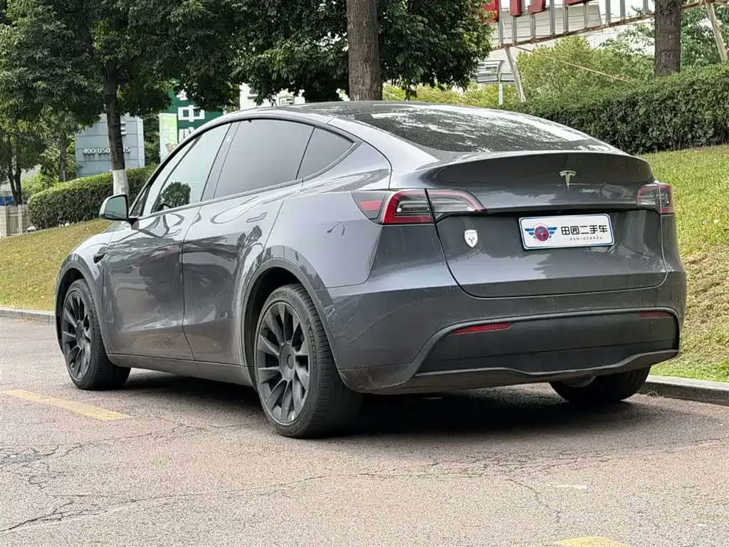 Tesla Model Y — фото 10
