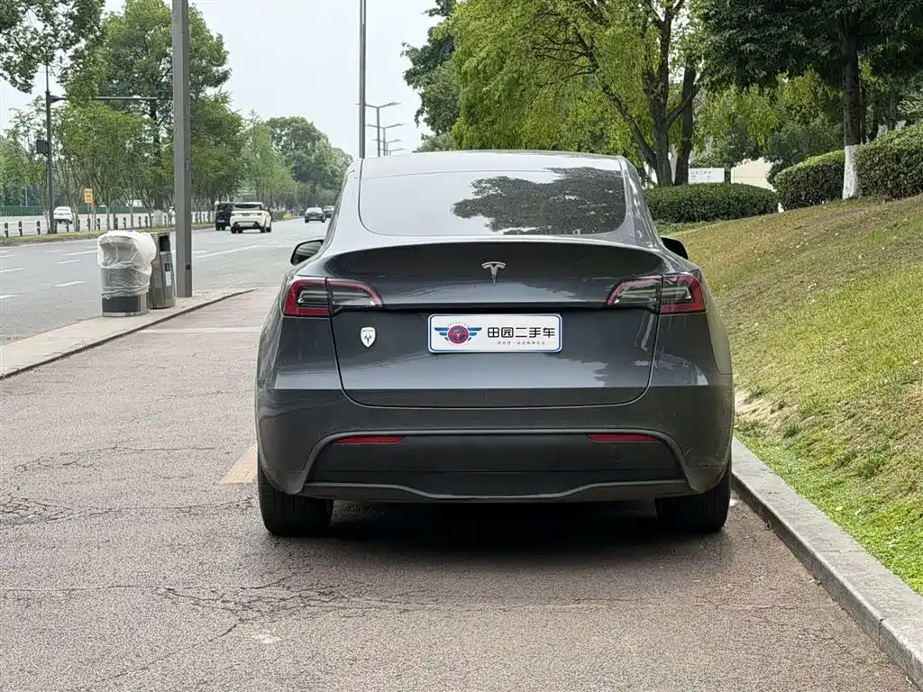 Tesla Model Y — фото 7