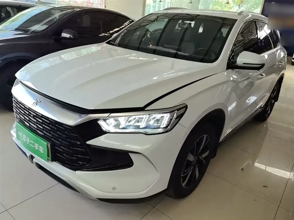 BYD Pro New Energy — фото 1