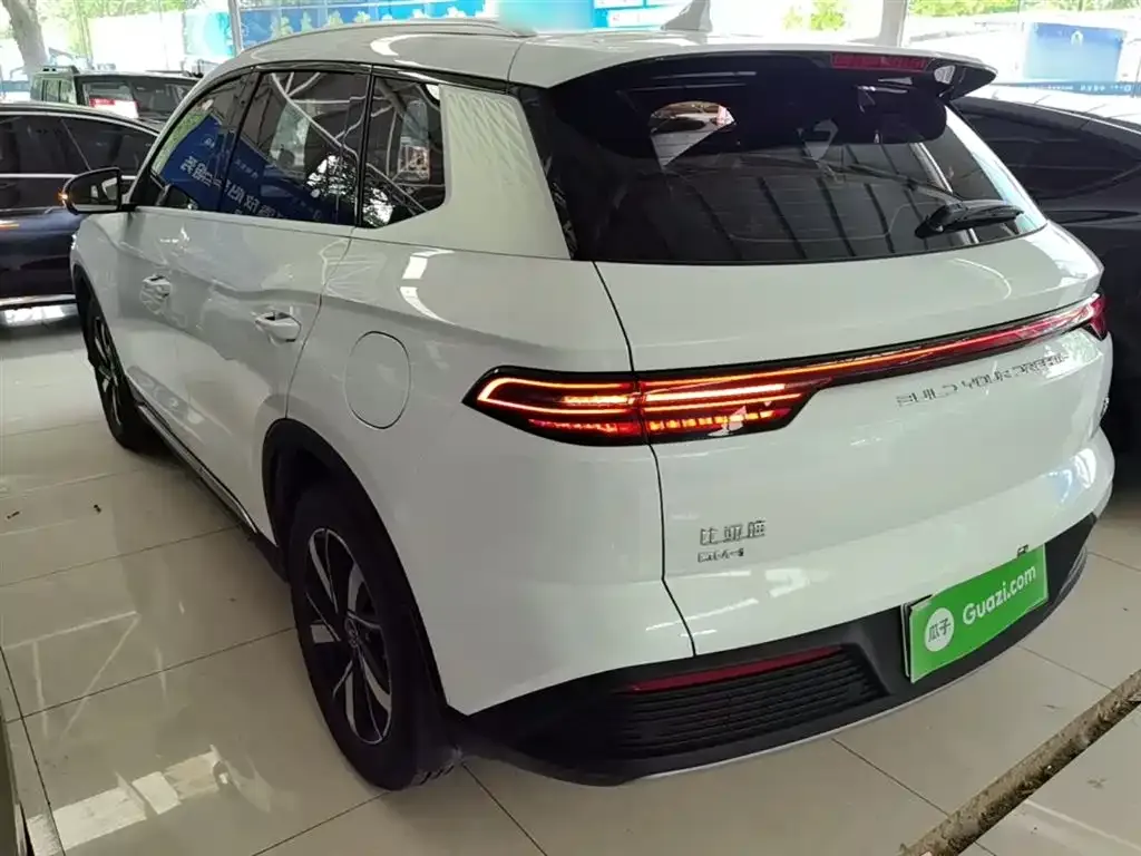 BYD Pro New Energy — фото 2