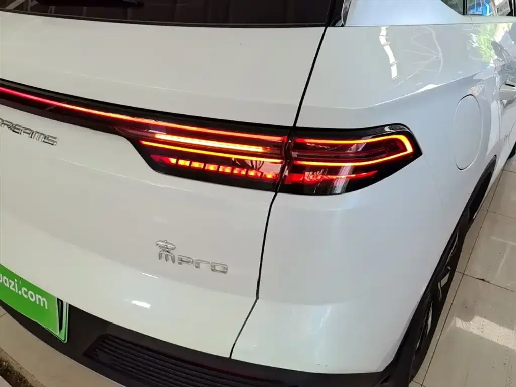 BYD Pro New Energy — фото 8
