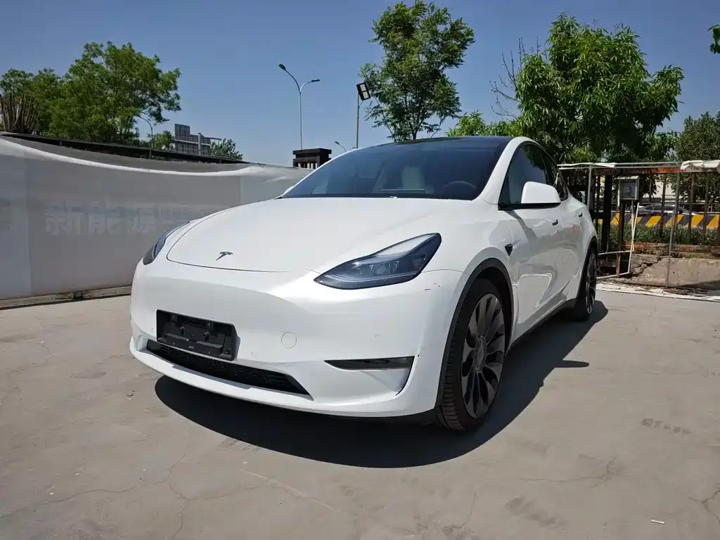 Tesla Model Y — фото 1