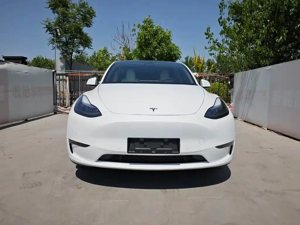 Tesla Model Y — фото 3