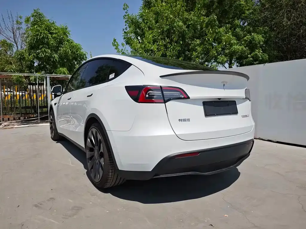 Tesla Model Y — фото 6