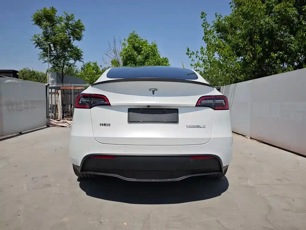Tesla Model Y — фото 5