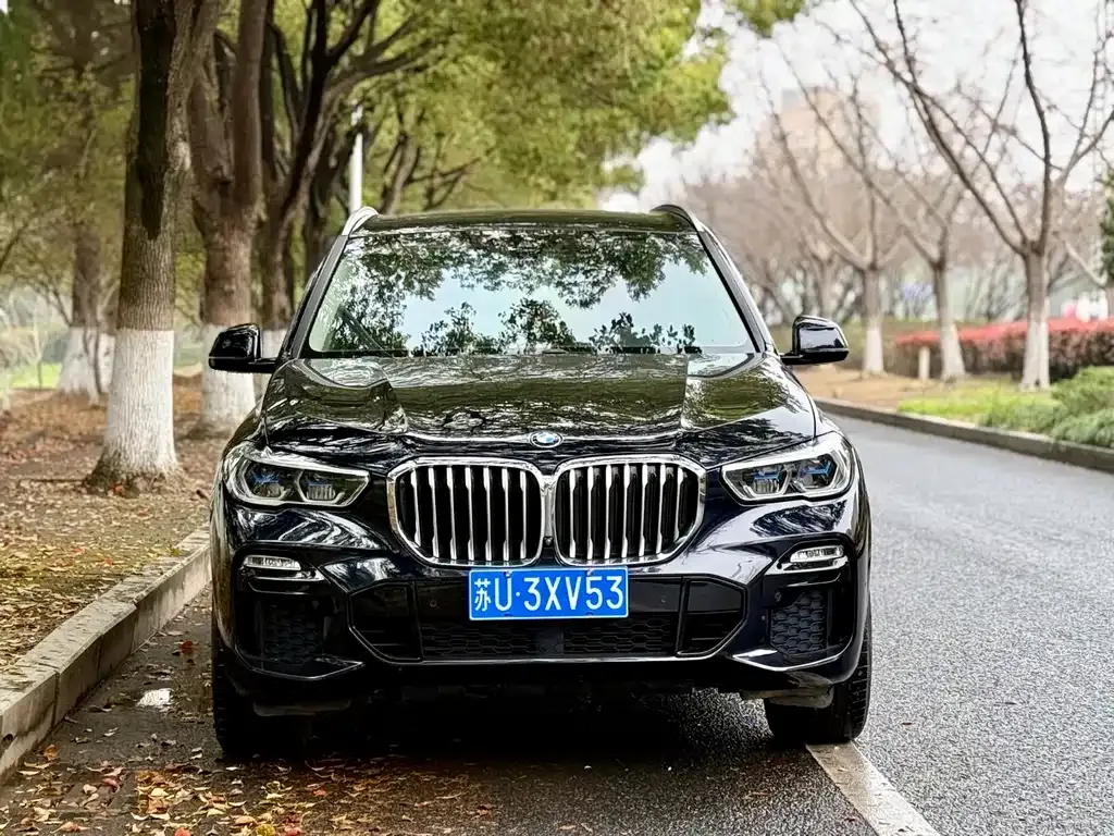 BMW X5 (Import) 2021 из CN, фото 4