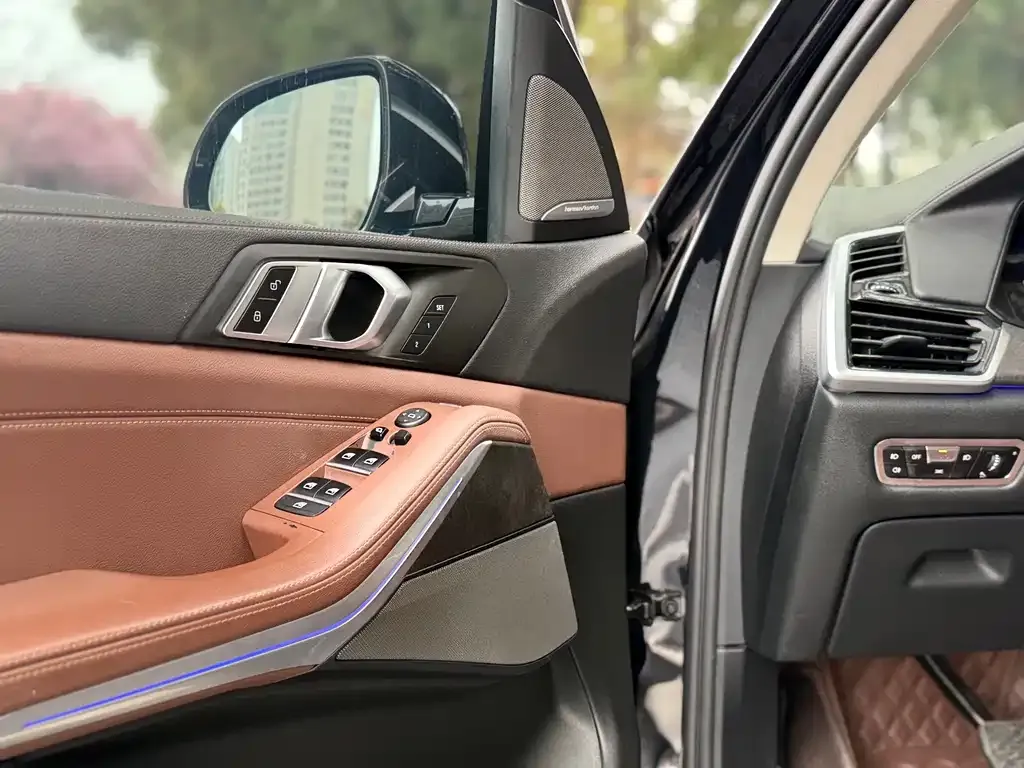 BMW X5 (Import) 2021 из CN, фото 8