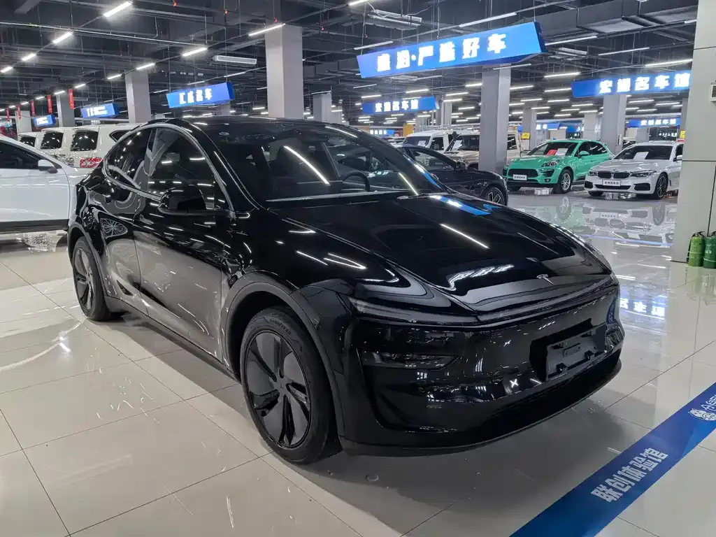 Tesla Model Y — фото 7