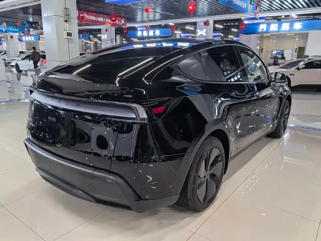 Tesla Model Y — фото 10