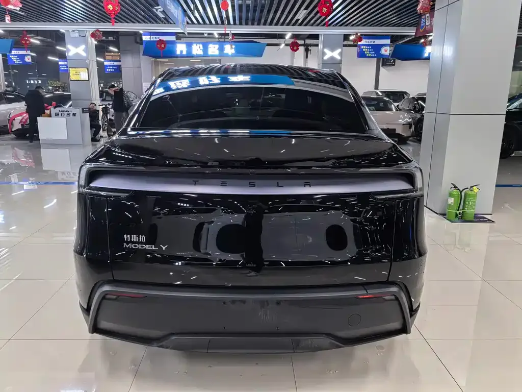 Tesla Model Y — фото 6