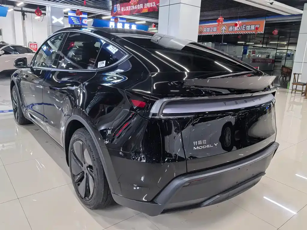 Tesla Model Y — фото 9
