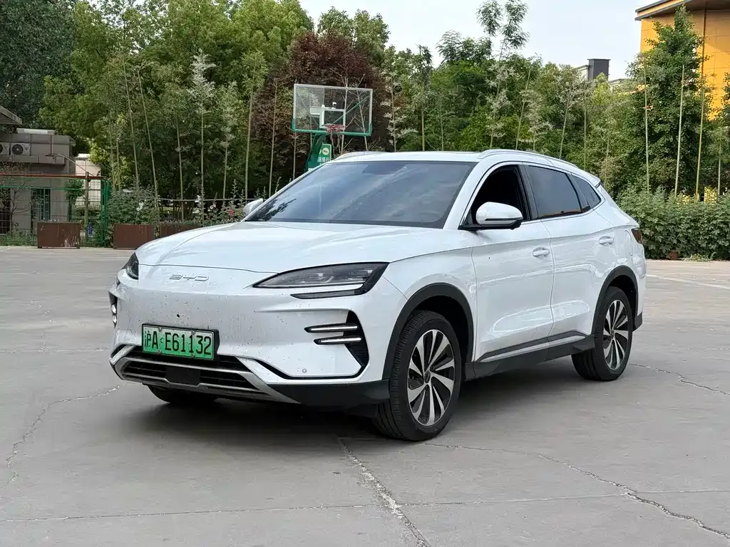 BYD PLUS New Energy — фото 1