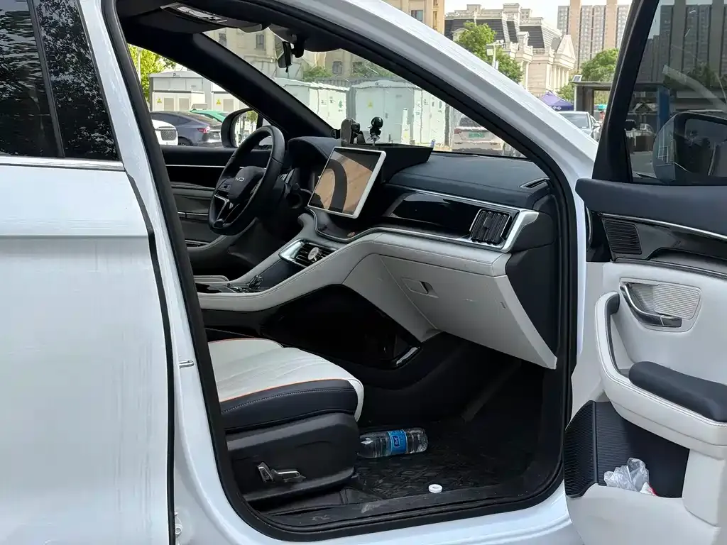 BYD PLUS New Energy — фото 4