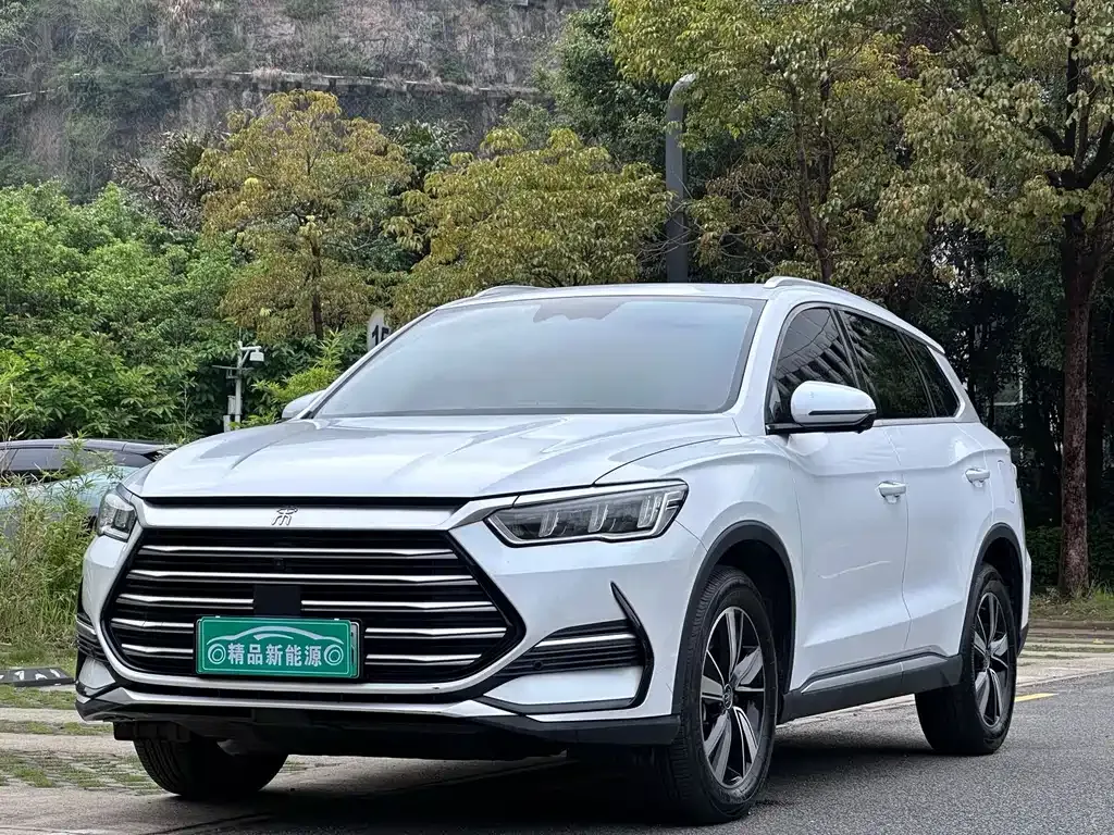 BYD Pro New Energy — фото 1