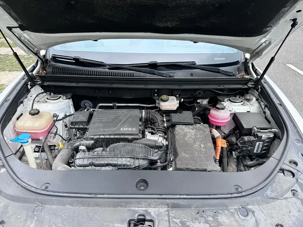 BYD Pro New Energy — фото 10