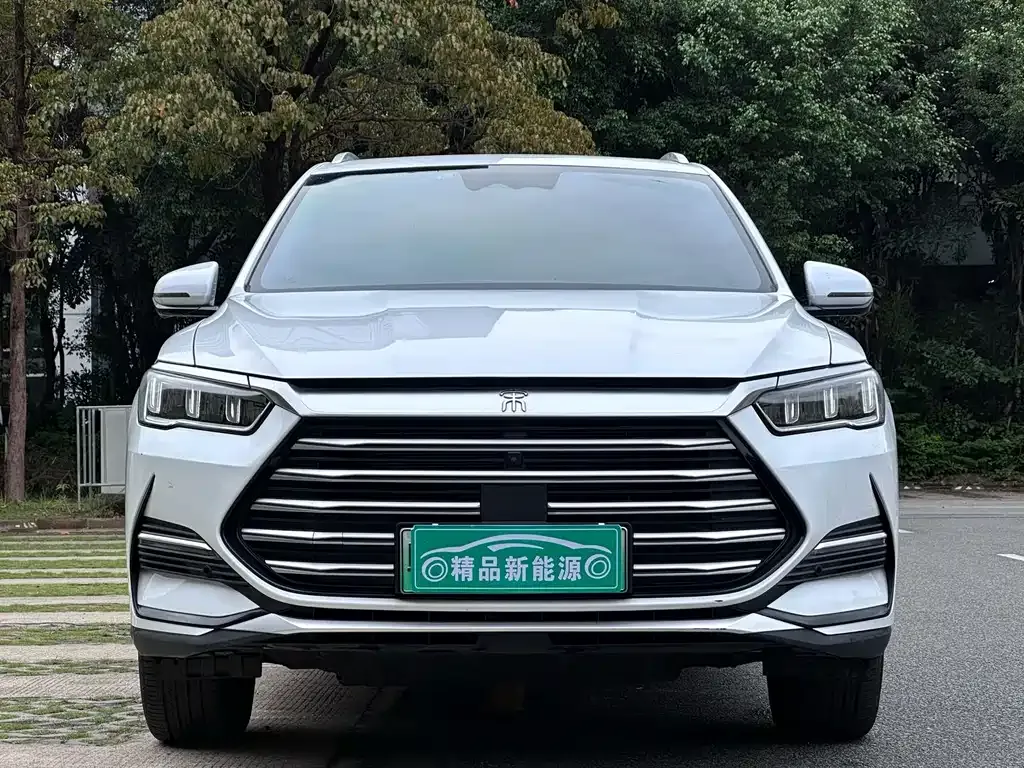 BYD Pro New Energy — фото 5