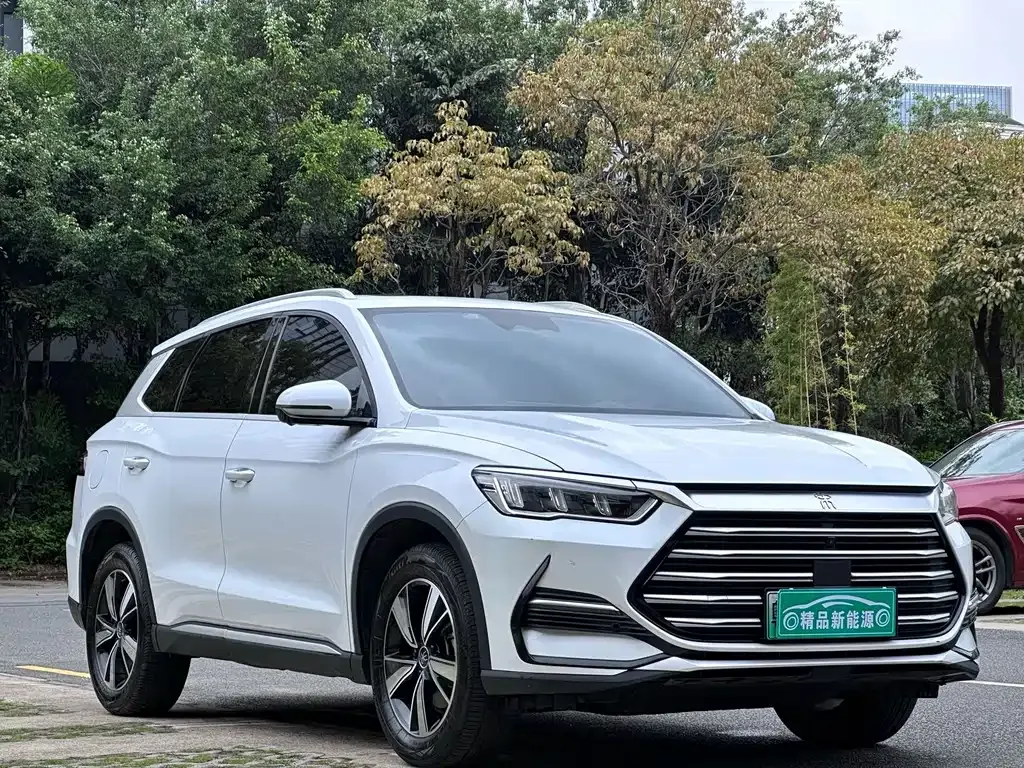 BYD Pro New Energy — фото 6