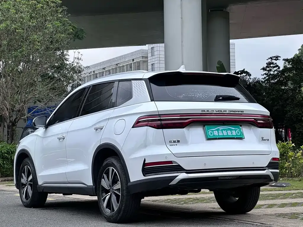 BYD Pro New Energy — фото 7