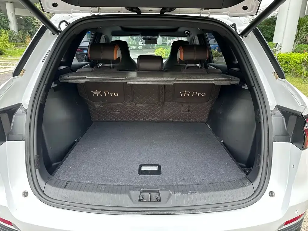 BYD Pro New Energy — фото 4