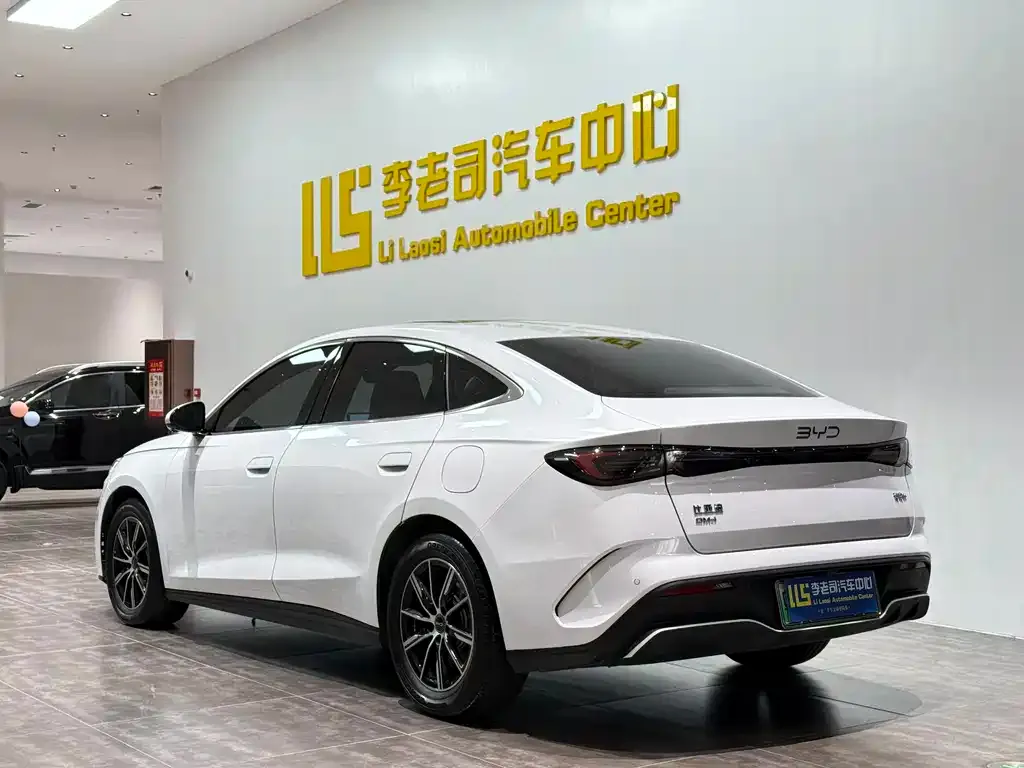 BYD Seal 06 2024 из CN, фото 5
