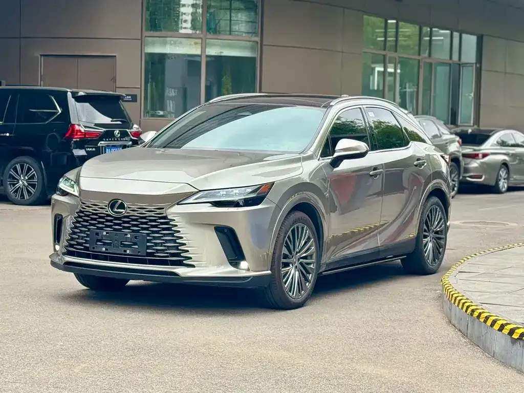 Lexus RX — фото 10