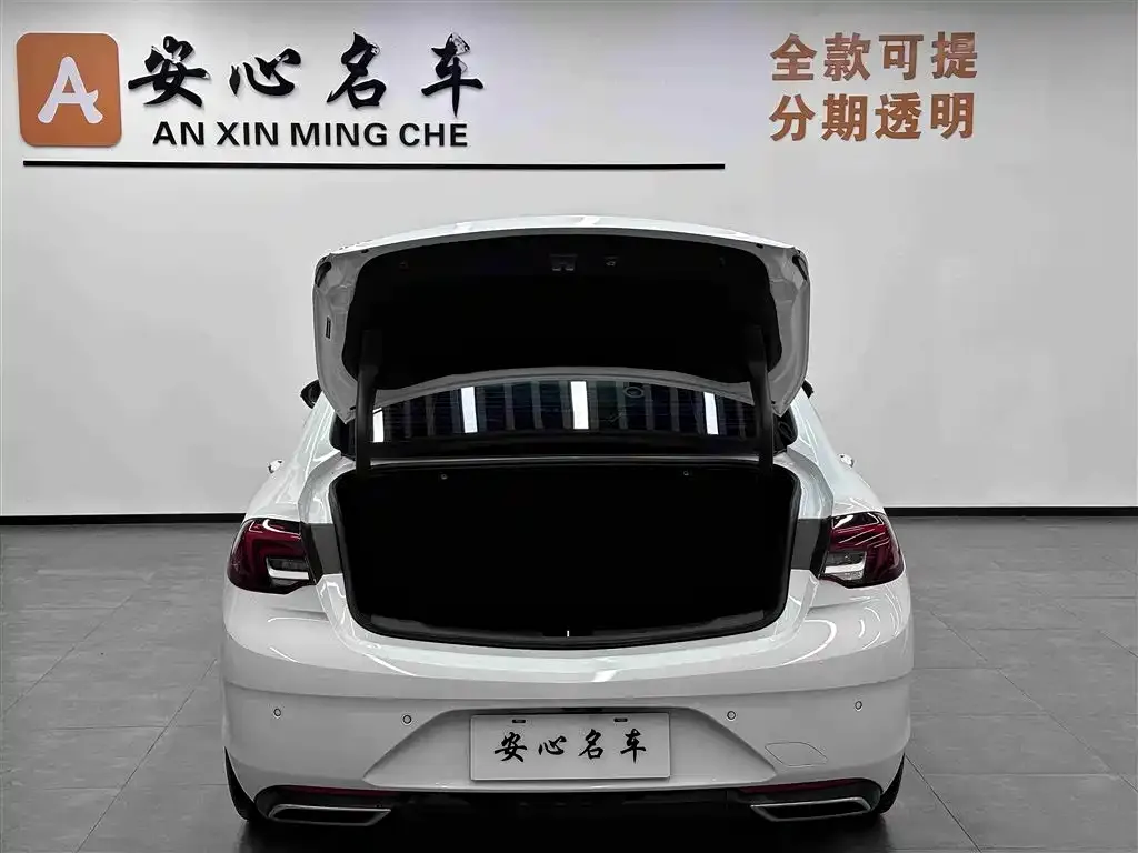 Buick Regal 2023 из CN, фото 3