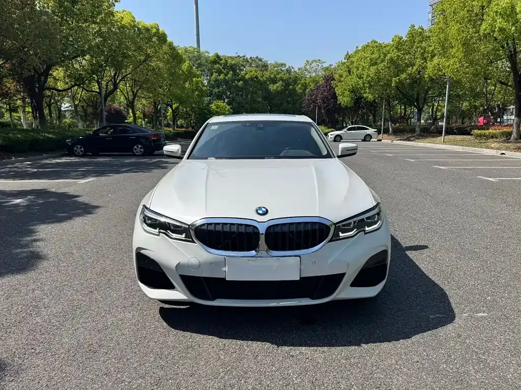 BMW 3 Series 2021 из CN, фото 8